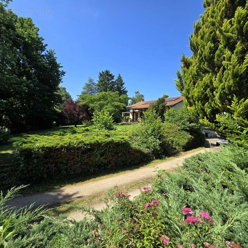 Maison à SAINT-CYR-SUR-MENTHON