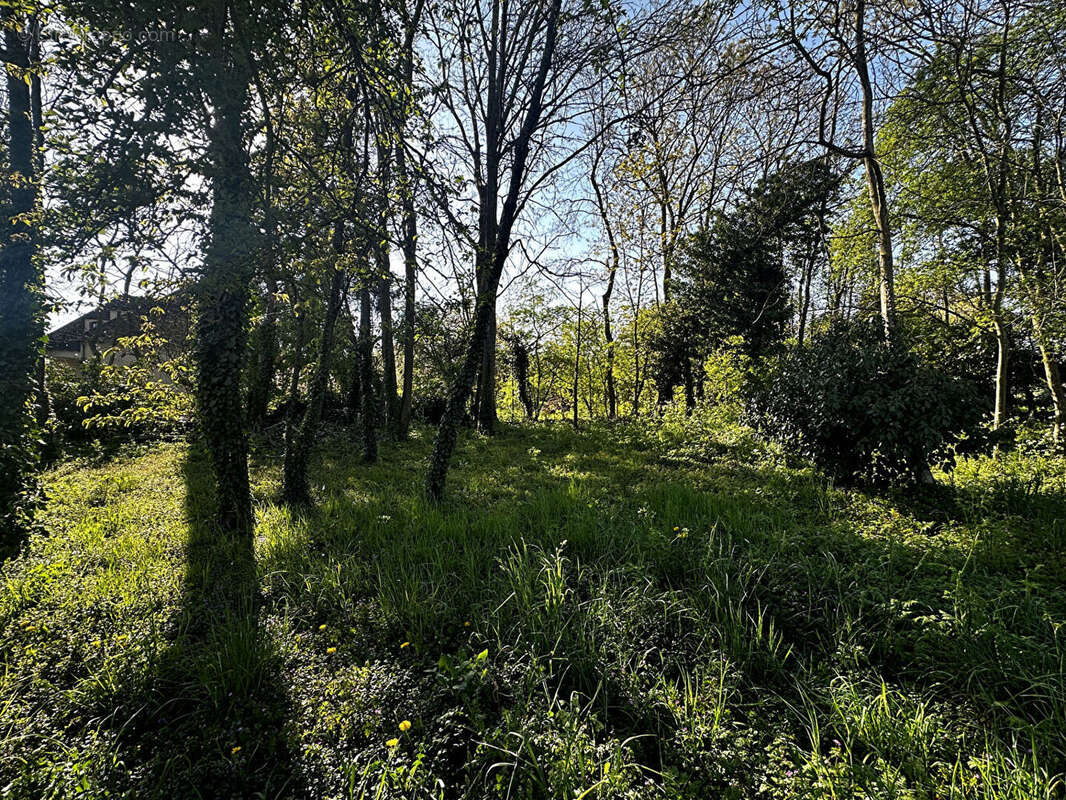 Terrain à LAGNY-SUR-MARNE