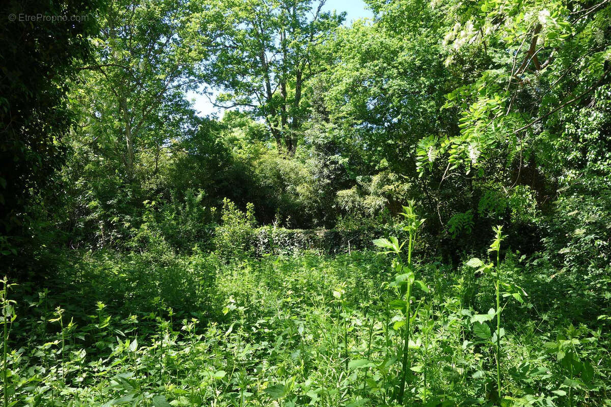 Terrain à SAINT-CHRISTOLY-DE-BLAYE