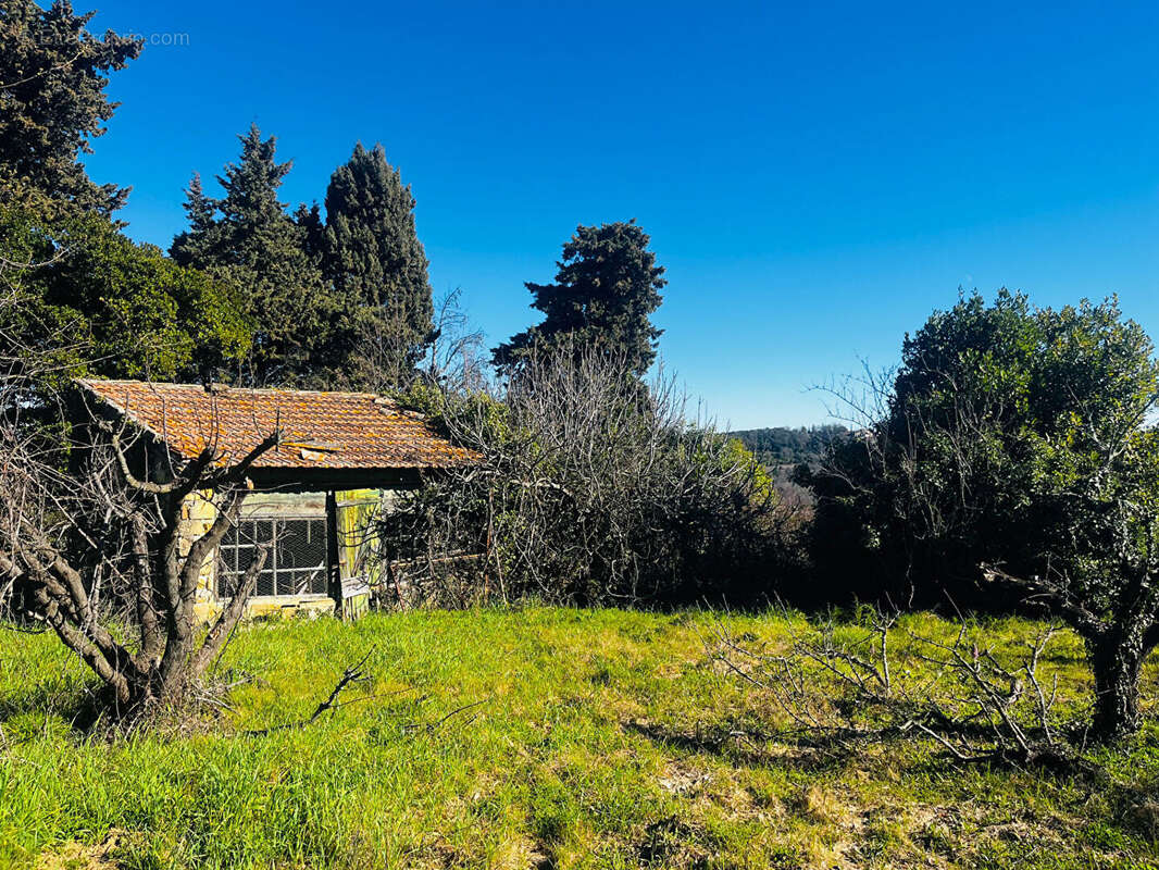 Maison à SAINT-ANDRE-D'OLERARGUES