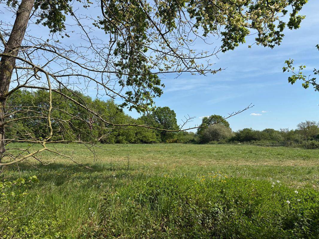 Terrain à ECUILLE