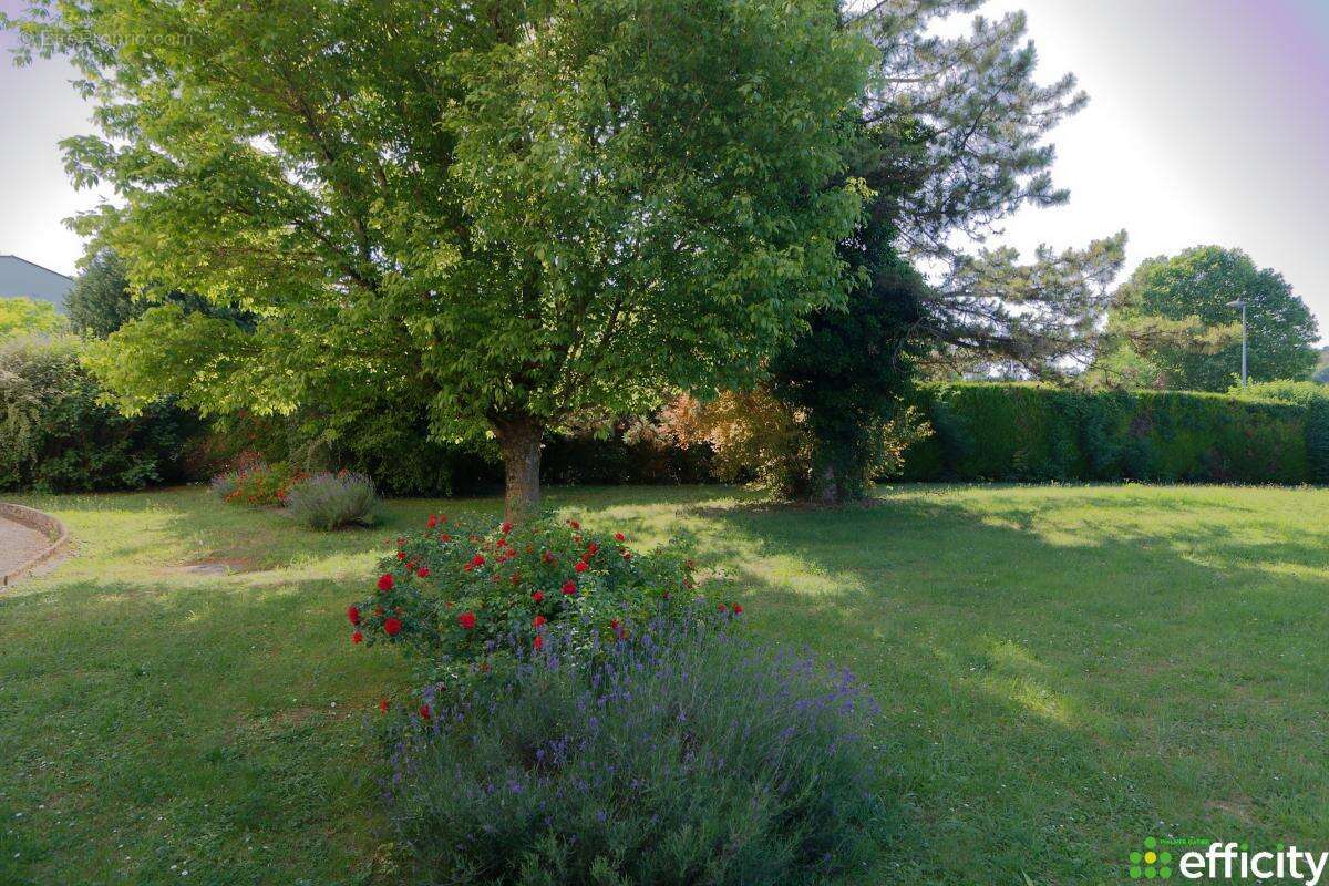 Appartement à NUITS-SAINT-GEORGES