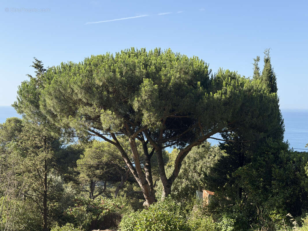 Terrain à SETE