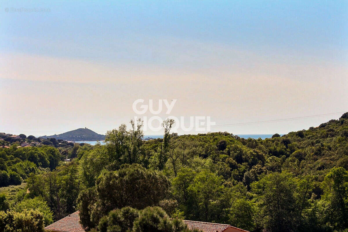 Appartement à PIETROSELLA