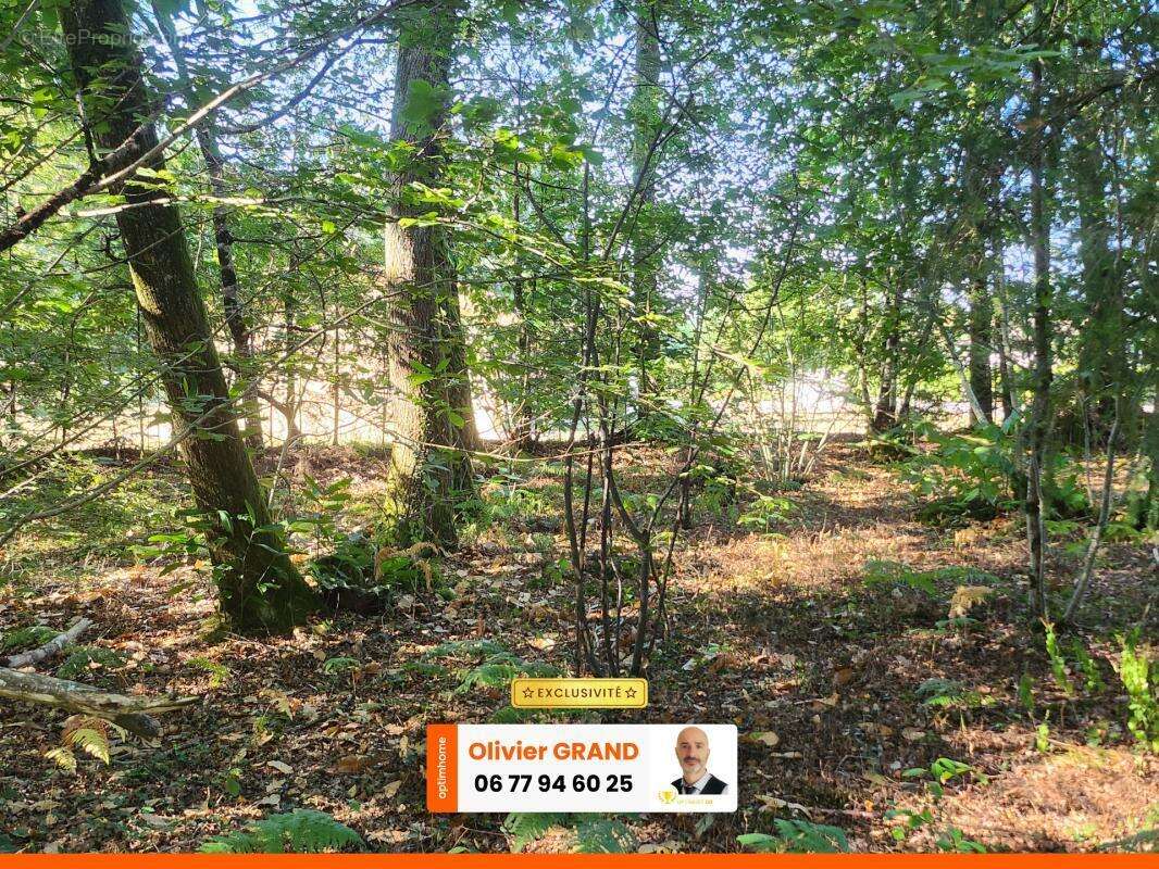 Terrain 1245m² - environnement campagne - calme - photo 2