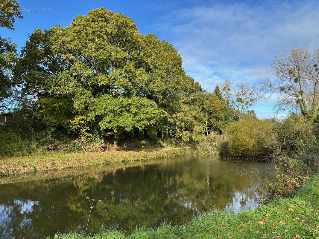 Parking à SAINT-LORMEL