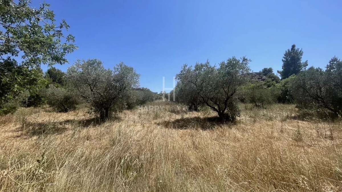 Ensemble immobilier Alpilles Sud sur terrain de 3627 M2 - photo 16