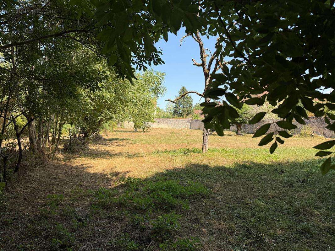 Terrain constructible viabilisé au bord de l'eau - photo 5