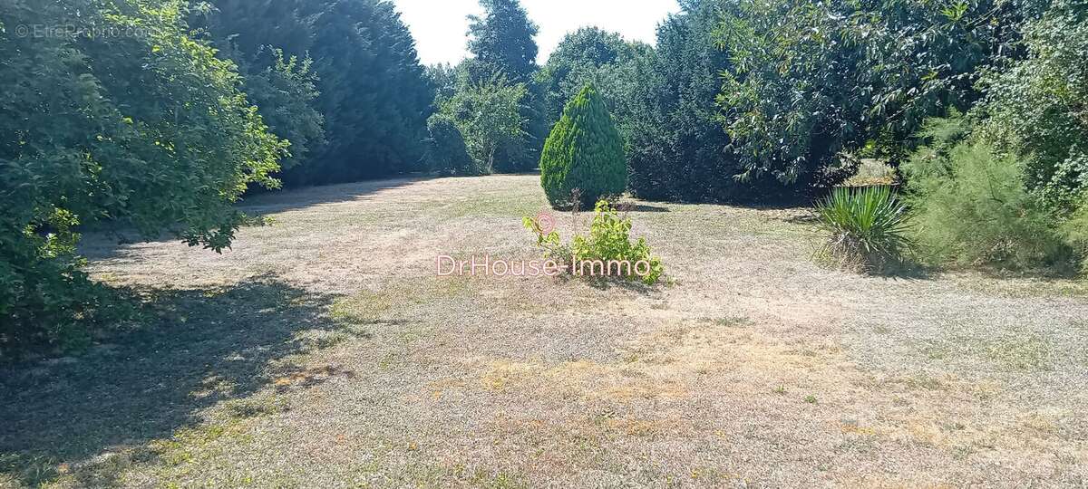 Terrain à MAZIERES-DE-TOURAINE