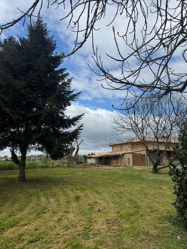 Maison à VILLENEUVE-LES-BOULOC