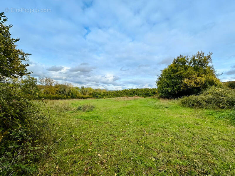 Terrain à AIZIER