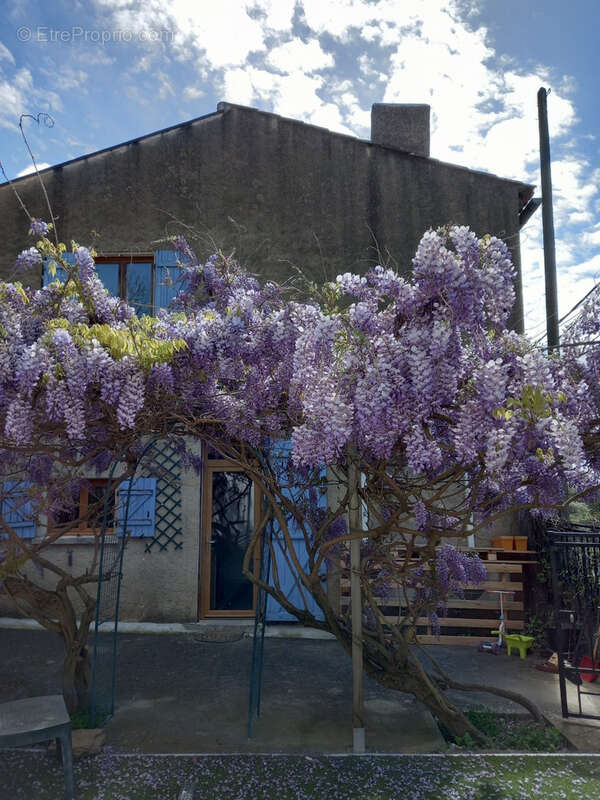 Maison à AIGUES-VIVES