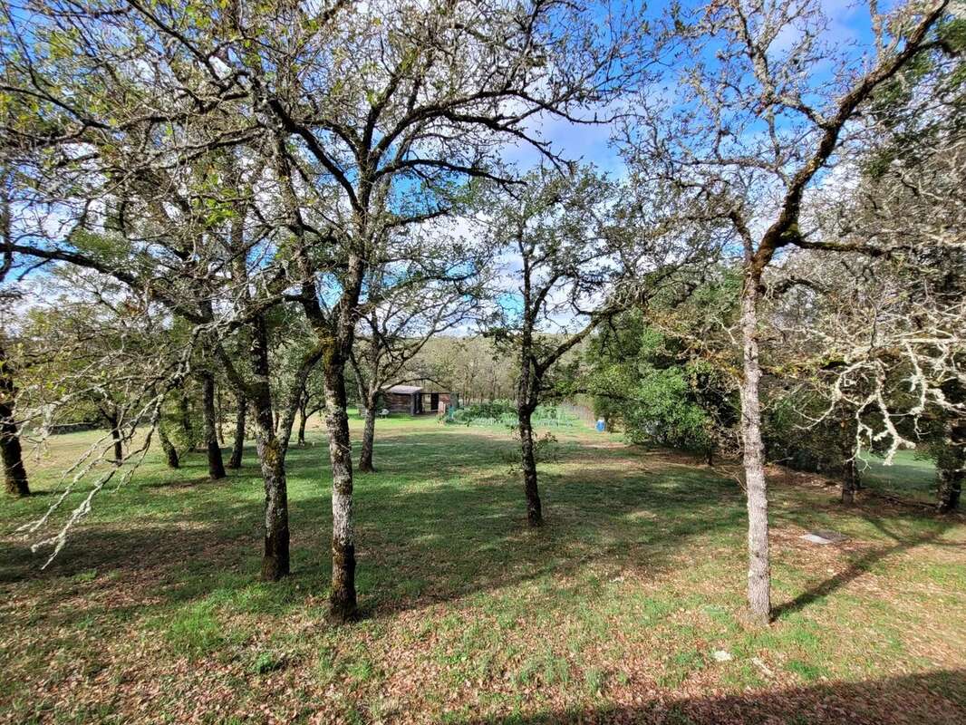 Maison à FLAUJAC-POUJOLS