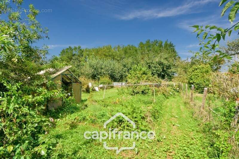 Maison à BLETTERANS
