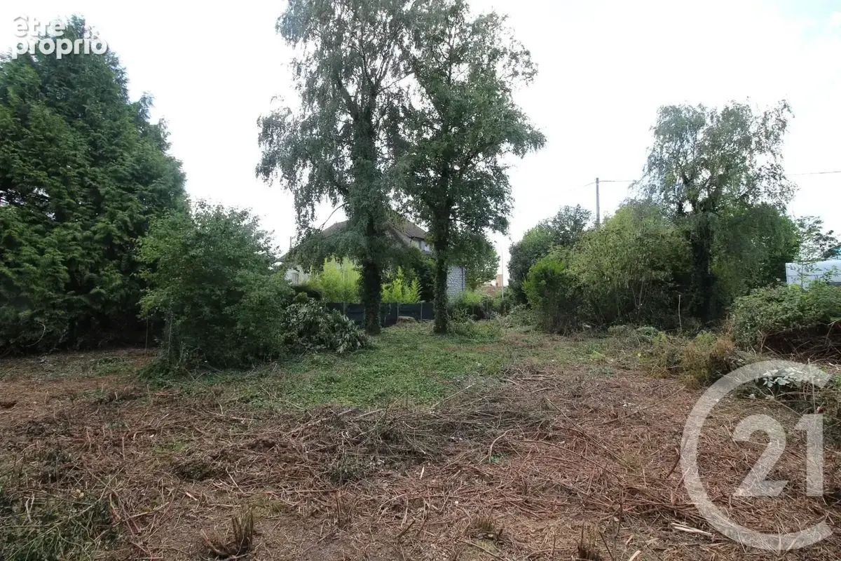 Terrain 777 m² à vendre à Nangis (77370) - photo 7