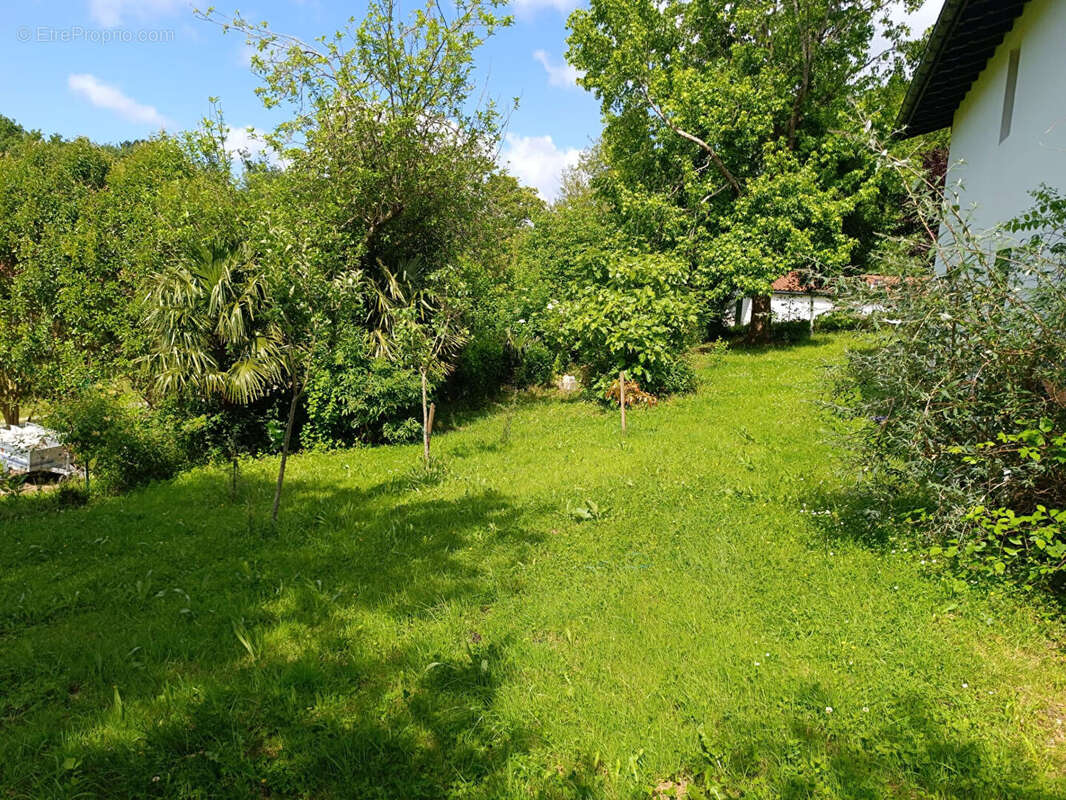 Maison à ASCAIN