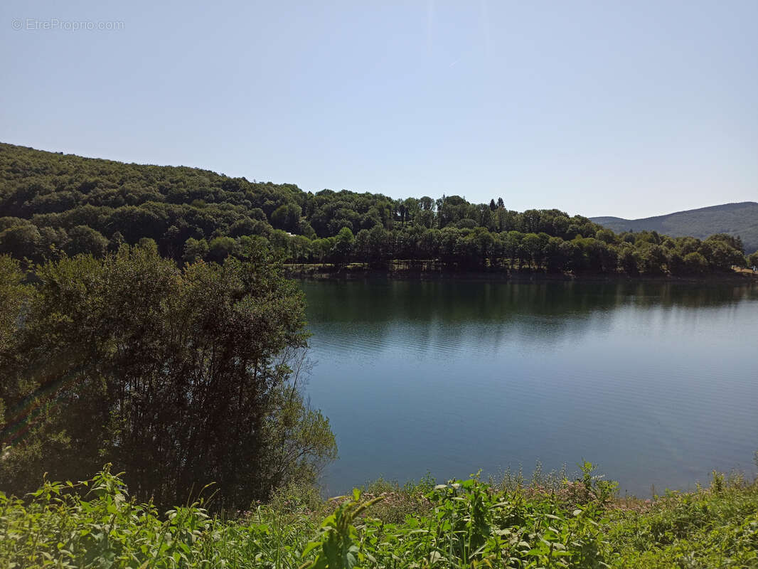 Terrain à LA SALVETAT-SUR-AGOUT