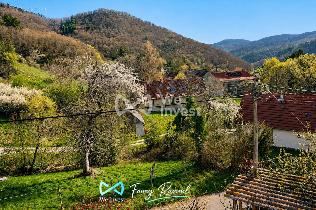 Maison 218 m² à Wasserbourg  - photo 2