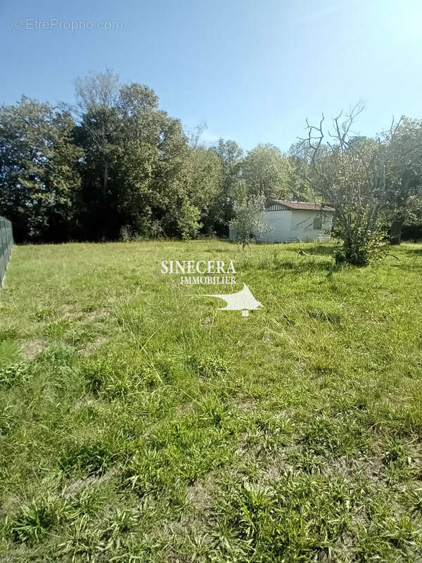 Terrain à GUJAN-MESTRAS