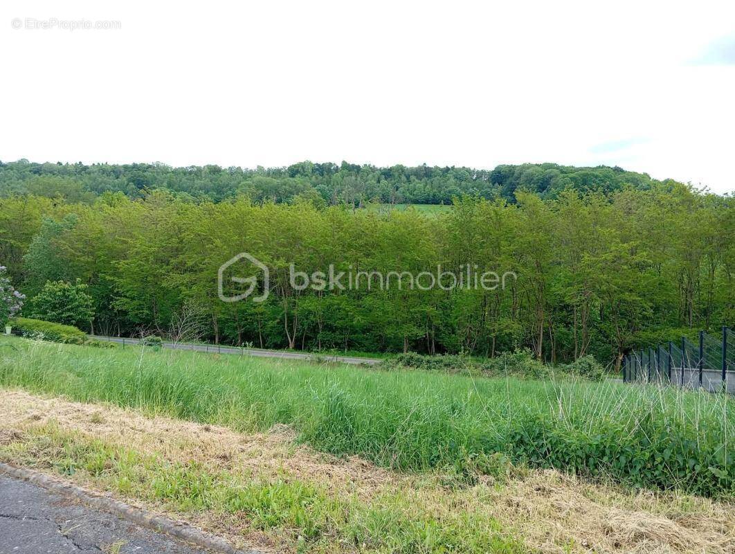 Terrain à POURU-AUX-BOIS