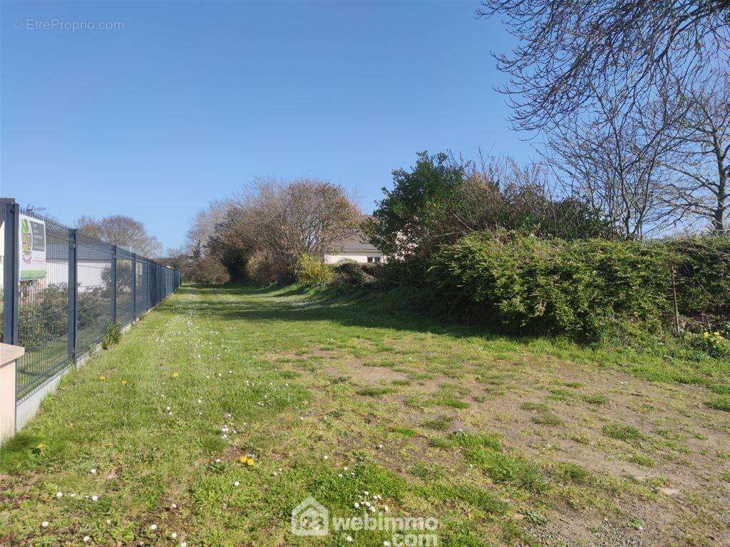 Terrain 3572 m² à Tredrez-Locquemeau  - photo 4