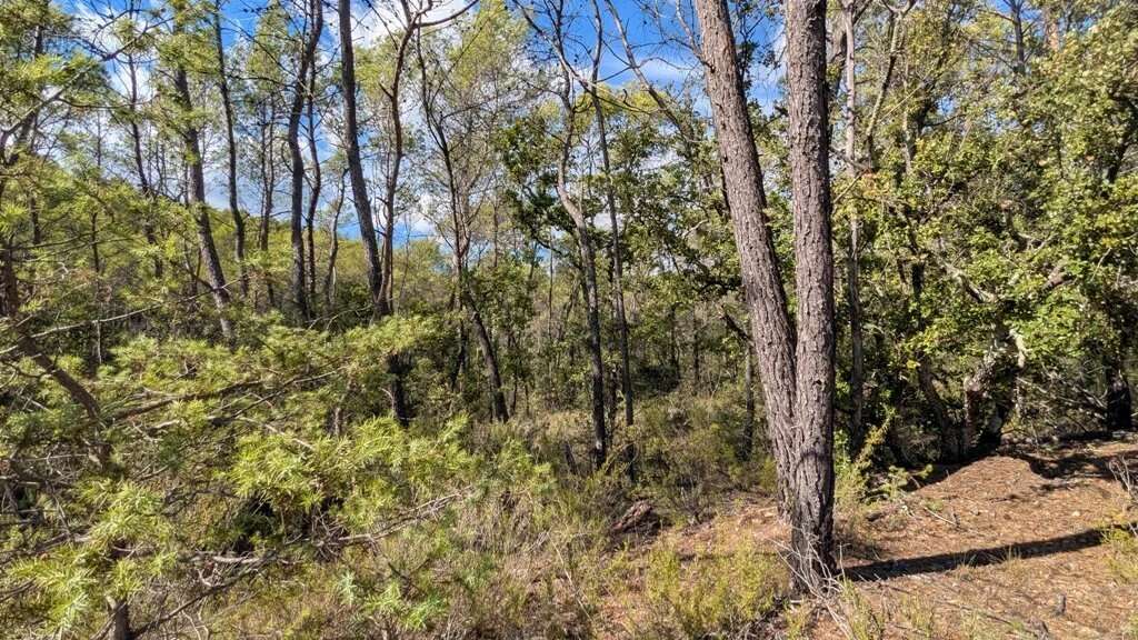 Terrain à ENTRECASTEAUX