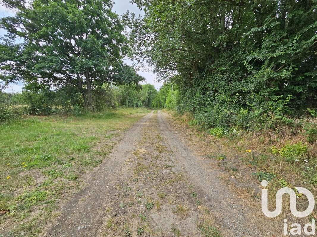 Photo 6 - Maison à MONTFORT-LE-GESNOIS