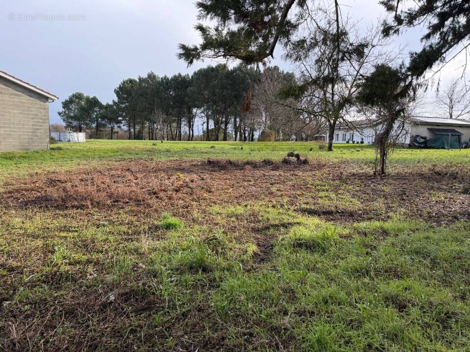 Terrain à BASSANNE