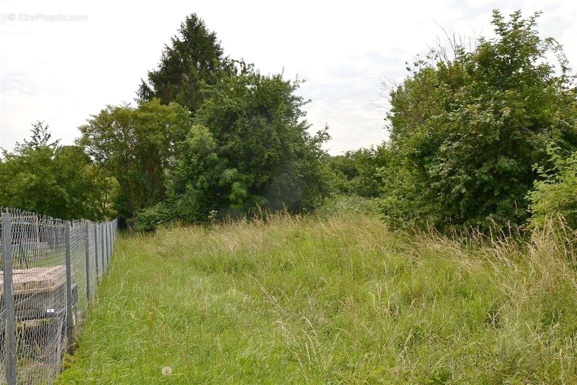Maison 112 m² à Nonant-Le-Pin  - photo 15