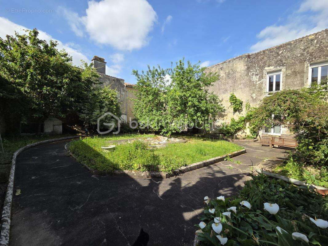 *** ST-MAIXENT L’ÉCOLE  - Halles-Abbaye – Maison 315 m² *** - photo 17