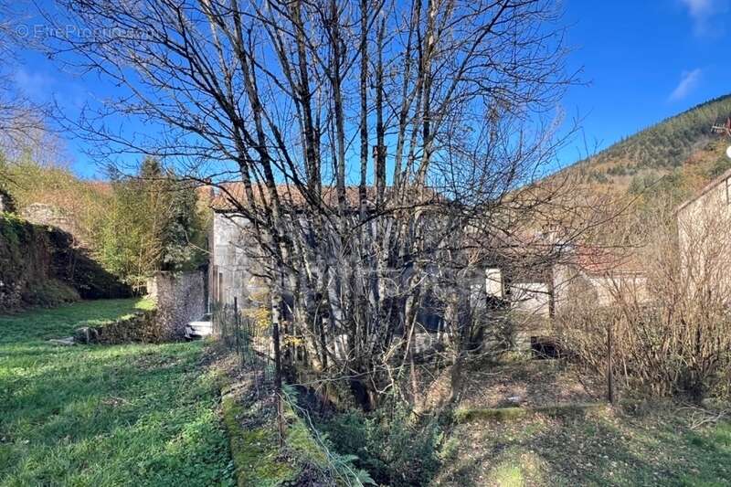 Maison à VERRERIES-DE-MOUSSANS