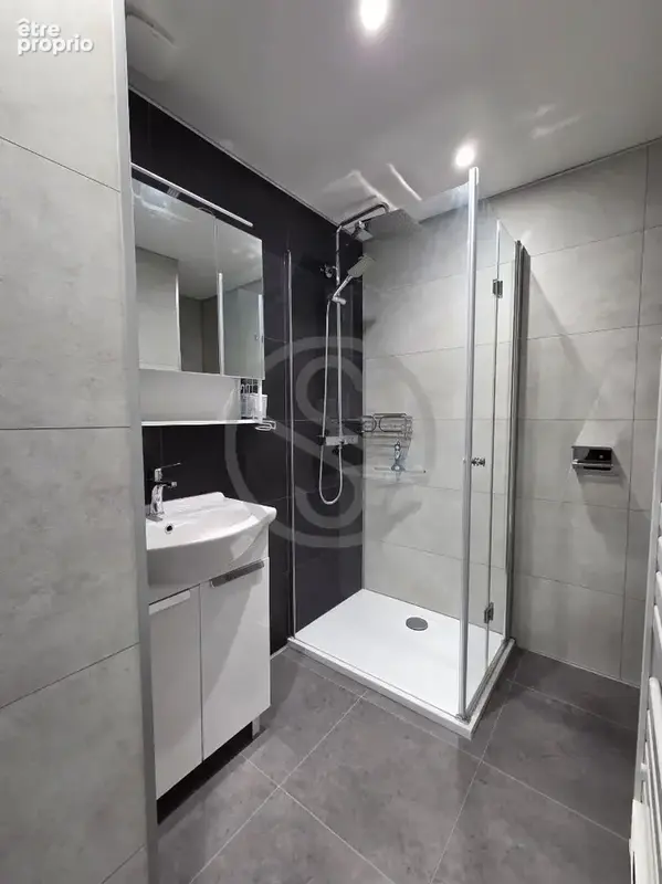 Appartement Grenoble 2 pièce(s) - photo 4