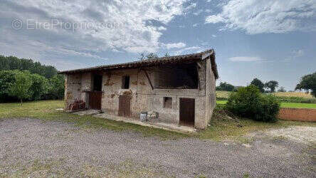 Photo 5 - Maison à ILLIAT