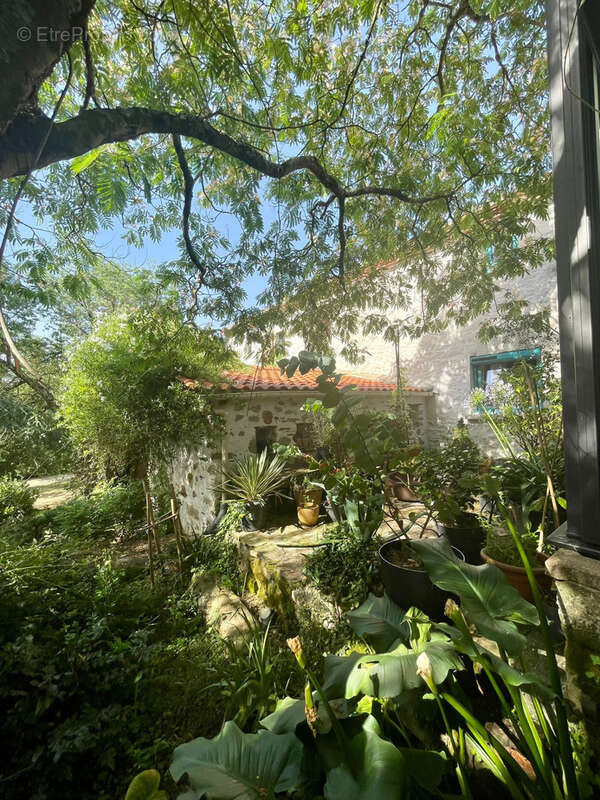 Maison à FROSSAY