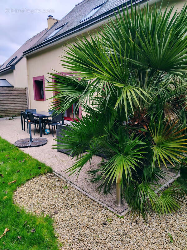 Maison à SAINT-MALO