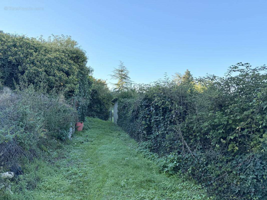 Maison à VILLEBOIS-LAVALETTE