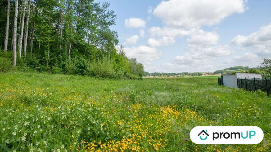 Terrain à CHIRY-OURSCAMP