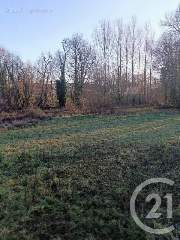 Terrain à VATRY