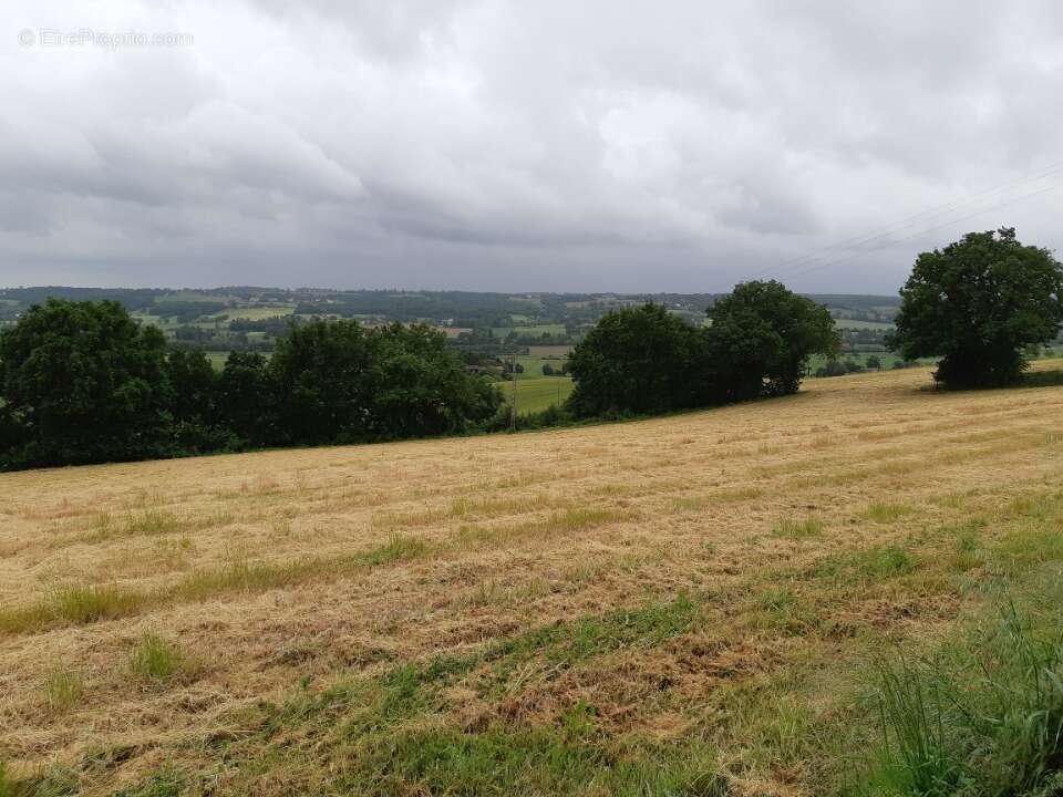 Terrain à MONTJOIRE