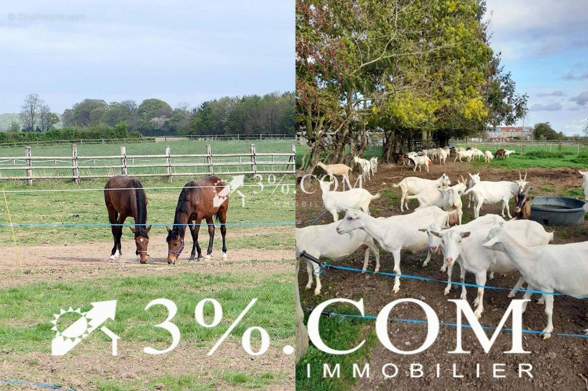 Maison à PREUSEVILLE