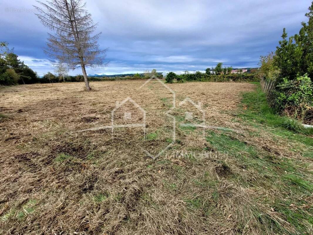 Terrain à REVEL-TOURDAN