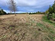 Terrain à REVEL-TOURDAN