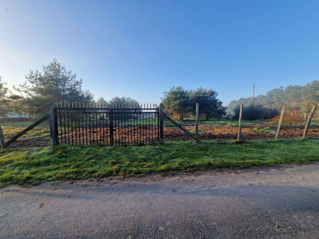 Terrain à CHATILLON-SUR-CHER