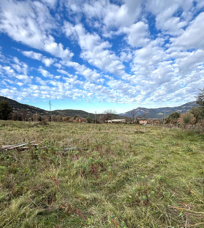 Terrain à CALENZANA