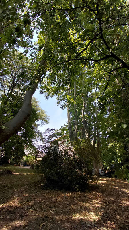 Maison à PIERRELATTE