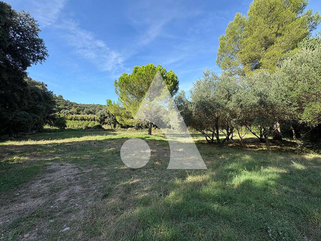 Terrain à LE POUGET