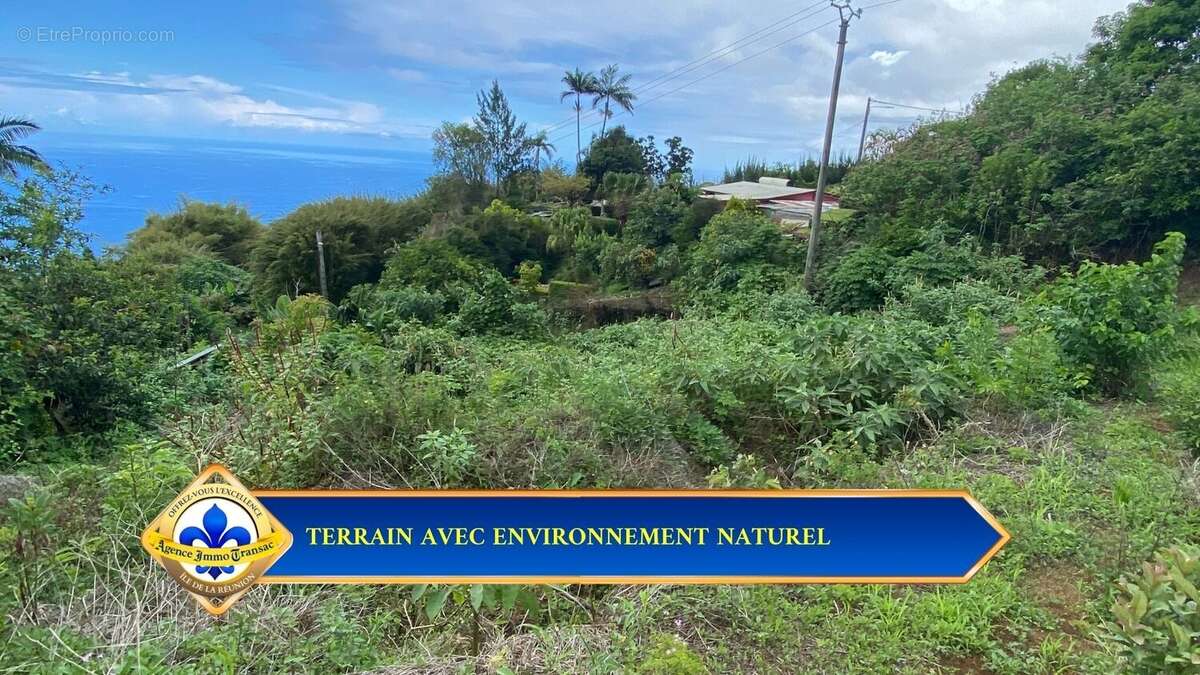 Terrain à LES TROIS-BASSINS