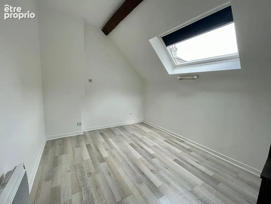 Orléans Bannier  T4 lumineux avec salon cathédrale - photo 8