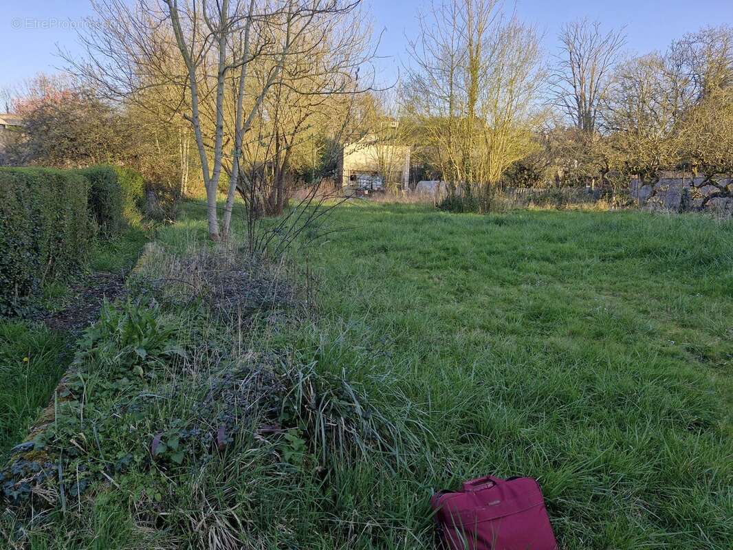 Terrain à CONDE-SUR-NOIREAU