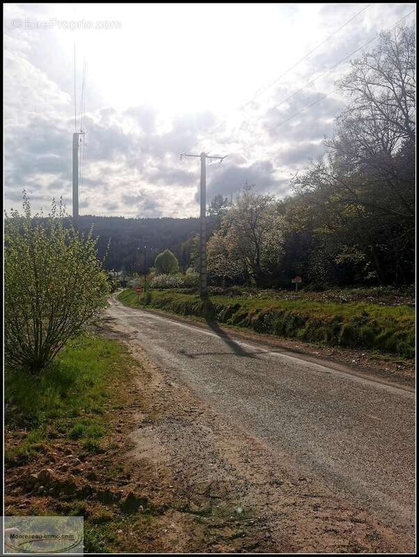 Terrain à SAINT-NABORD